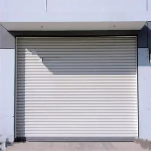 2019 cheapest electric roll up door