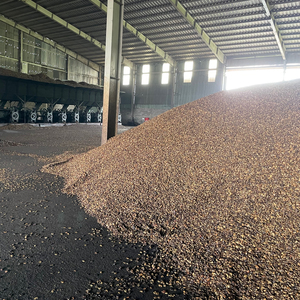 Extracción de cáscara de anacardo (CNSE) /bioms - Product Image 1