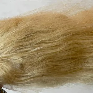 天然处女生印度人发613彩色金色前蕾丝假发顶级质量透明瑞士蕾丝
