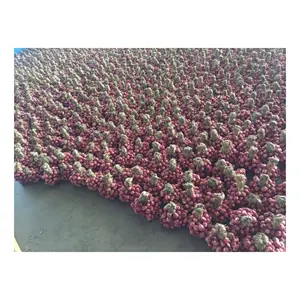 Производитель дегидратированных луковых хлопьев-сушеные луковые хлопья/вьетнамский высокое качество