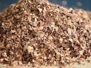 La mejor calidad de la nuez de anacardo/cáscara de anacardo en polvo de Concha-HELEN + 84374288086 - Product Image 5