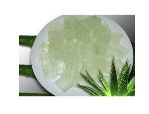 Hojas de Aloe Vera Frescas Naturales de Alta Calidad a Bajo Precio de Vietnam - Product Image 3