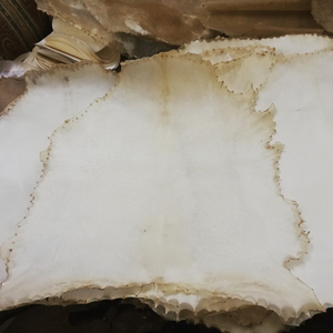 Meubles en vellum, parchemin blanchi - Product Image 1