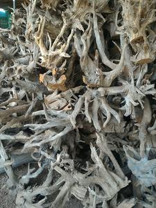 Décoration d'aquarium Naturel Arbre Racines - Product Image 3