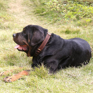 Letras Metálicas Personalizadas con Nombre para Venta al por Mayor - Product Image 4