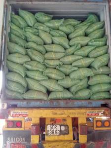 Granulés de coque de noix de cajou brutes à haut taux de récupération pour le tannage, exportés du Vietnam, usine GN/GIA NGUYEN, modèle SR-CSH806-01 - Product Image 6