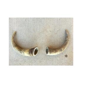 Par de Cuernos de Búfalo Naturales Antiguos, Par de Cuernos de Vaca, Superventas, Decoración para Hoteles, Mejor Diseño para Producto Popular - Product Image 3