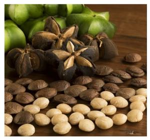 ACEITE DE SACHA INCHI 100% NATURAL Y DE ALTA CALIDAD DE VIETNAM / Sra. Tracy (+84 904 183 651) - Product Image 3