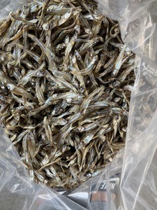 Anchoa seca de buena calidad, a la venta para el sol espadines, pescado seco, sin sal - Product Image 5