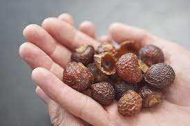 Noix de savon séchée du Viet Nam 2024/Produit de nettoyage naturel 2024 - Product Image 6