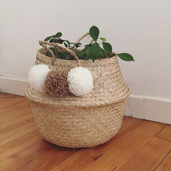 เหลืองอ่อน