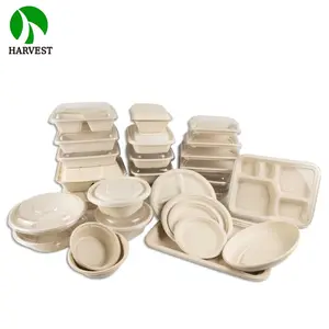 8 Inch 9 Inch Square Sustainable Biodegradable Eco Friendly Food Packaging