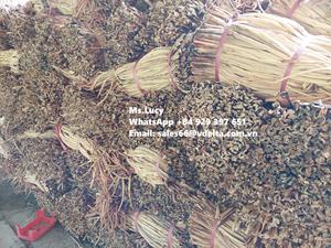 Vente en gros de matières premières écologiques jacinthe d'eau sèche/jacinthe d'eau séchée pour la fabrication d'artisanat Mme Lily + 84 906927736 - Product Image 6