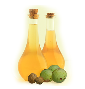Aceite Portador de Semillas de Marula Prensado en Frío de la India (Sclerocarya Birrea), Aceites de Aguacate, Argán, Semilla Negra, Rosa Mosqueta, Semilla de Uva y Coco - Product Image 1
