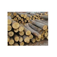 Vente en gros de grume en bois d'acacia 100% naturel bon marché du Vietnam bonne qualité à faible taxe usine directe