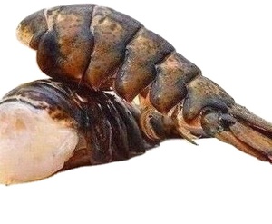 ขายกุ้งก้ามกราม De-Veined แช่แข็งขนาด3/4ออนซ์ถึง8/10ออนซ์,สดแคริบเบียน Spiny กุ้งก้ามกราม - Product Image 1