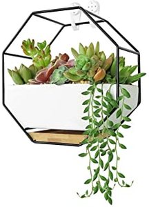 Macetas de pared de hierro con forma de cono galvanizado, nuevo diseño, para casa, Hotel y restaurante - Product Image 5