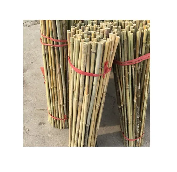 SPLIT VARAS DE BAMBU VARAS DE BAMBU VARA DE BAMBU PLANA