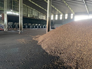 EXTRACTION DE COQUILLE DE NOIX DE CAJOU (CNSE) /BIOMASS - Product Image 5