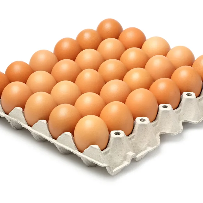 Di alta Qualità Fertile Cova Uova di Pollo/Pollo Fresco Tavolo Uova