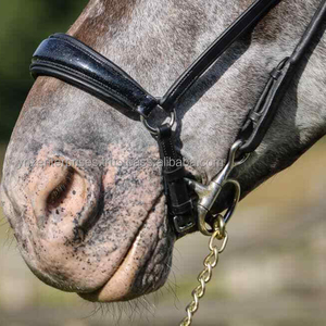 Brida de caballo de cuero resistente al agua, brida de caballo disponible en varios colores y tamaños, venta al por mayor - Product Image 1