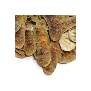 Popular Selling 100% Herbal Healthcare Product Senna Pods Natural Unsweetened Sub Dried Top Quality Senna Pods MOQ Supplier
