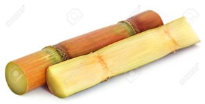 Palitos de Caña de Azúcar Secos, Snack de Fibra Natural para Conejos y Mascotas, Almacenamiento a Temperatura Ambiente, 12 Meses, Ms. Reina// 2026 - Product Image 5