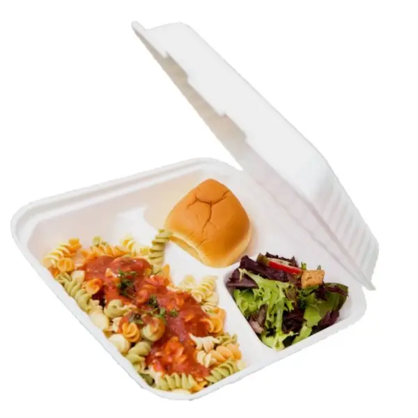 Best Selling Items 3 Compartment Food Container Clamshell Eco Foam Container for Food Carry