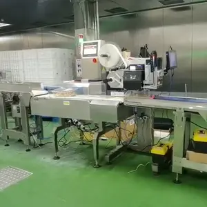 In-motion Weigh Price Labeler