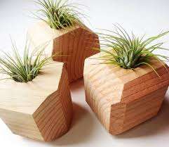 สีไม้ธรรมชาติ