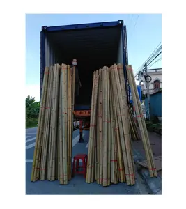 Venda quente de bastões de bambu naturais/latas de bambu material de bambu para fazer cerca ou artesanato 99gd