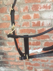 Cordon de corde Show Jumping Noseband Cheval Cuir Halter smart - Product Image 5