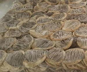 Omaso (Gástrico) de Res Congelado en Venta - Product Image 3