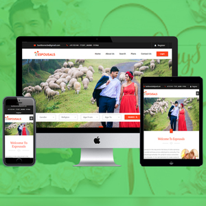MATRIMONIAL PORTALS design and Development Company in India | Top Notch Matrimonial Portal Development Services by Webroot - Product Image 2