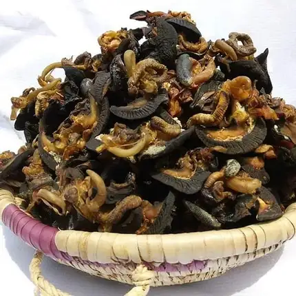 25 (กก.) หอยทากแห้งและผลิตภัณฑ์อาหารประเภทหอยทากแอฟริกันสดยักษ์ขาย
