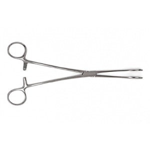 Foerster Sponge Forceps 25cm - Product Image 6