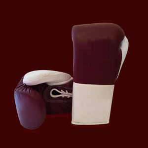 Gants de boxe de haute qualité pour hommes pour l'entraînement en ligne vente en gros meilleur équipement de sport boxe d'arts martiaux pakistanais - Product Image 5