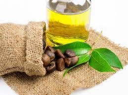 Huile de camélia biologique pure pressée à froid, étiquette privée personnalisée, vente en gros, certifiée GMP, OEM/ODM pour les soins du visage, de la peau et des cheveux - Product Image 4