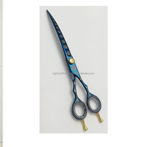 Ciseaux pour coiffeur, acier inoxydable, à lame tranchante, accessoire de coiffeur, pour coupe de cheveux, couleurs titane, 1 pièce - Product Image 1