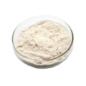 Vente en gros d'extrait de Garcinia Cambogia 60% poudre d'acide hydroxycitrique poudre d'extrait de Garcinia Cambogia de Chine - Product Image 1