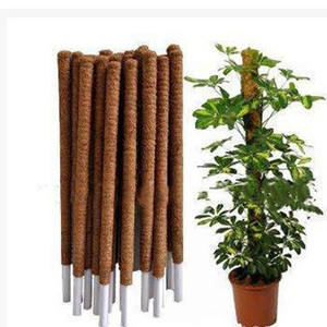 Supports de plantes en forme de totem naturel Enterenprize - Modèle Tp0001 pour plantes grimpantes d'intérieur - Product Image 2
