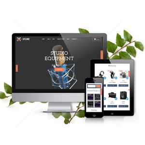 Music eCommerce Website design & Development Company in India | Award Winning eCommerce Website Development Services by Webroot - Product Image 1