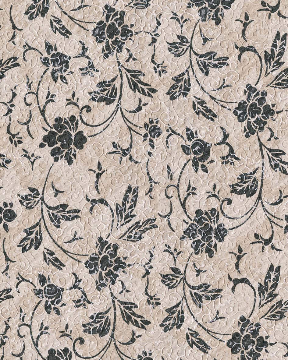 สีงาช้าง &amp; สีดำ