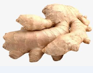 Jengibre fresco de calidad orgánica, para comida saludable/Ms. Tracy + 84 904 de 183 a 651 - Product Image 6