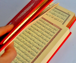 ผ้ากำมะหยี่สีแดงพระคัมภีร์กุรอานมุสลิมสไตล์อาหรับพิมพ์ลายมัสยิดศักดิ์สิทธิ์ใหม่สีชมพูเข้ม - Product Image 2