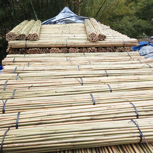 Vendeur chaud 2025 cannes de piquet de bambou durables écologiques jaunes en gros pour une utilisation de jardin fabriquées au Vietnam par Eco2go Vietnam - Product Image 4