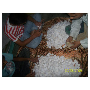 Artesanía más vendida, botones de hueso de búfalo hechos a mano indios en blanco hechos con huesos de animales naturales para industrias de ropa - Product Image 2