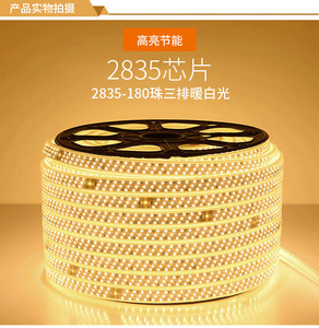 L'alta tensione 220V SMD 2835 3 linee ha condotto l'alta luminosità impermeabile della <span class=keywords><strong>luce</strong></span> di striscia 100M/Roll 180leds/m - Product Image 5