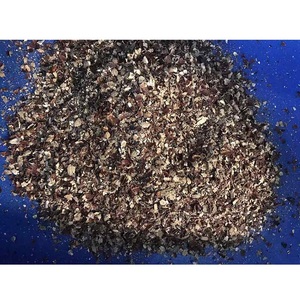 Peau de noix, 5 pièces, échantillon du VIETNAM, offre spéciale - Product Image 6