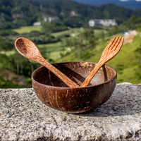 Ensemble de bols en bois de noix de coco bio, écologiques, dégradables, avec logo gravé personnalisé, cuillère et fourchette, cadeaux modernes de haute qualité